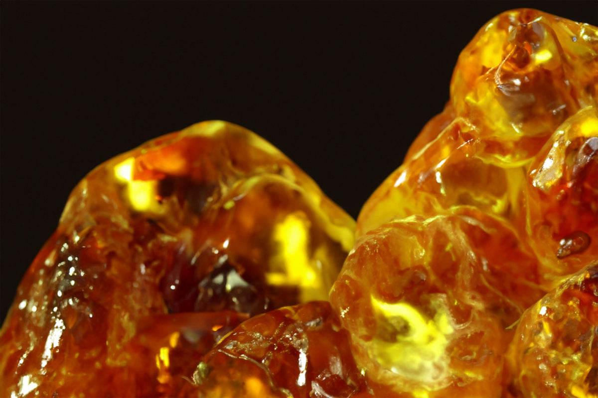 All about Amber with perfumer Nata Dyshliuk (Sentire)